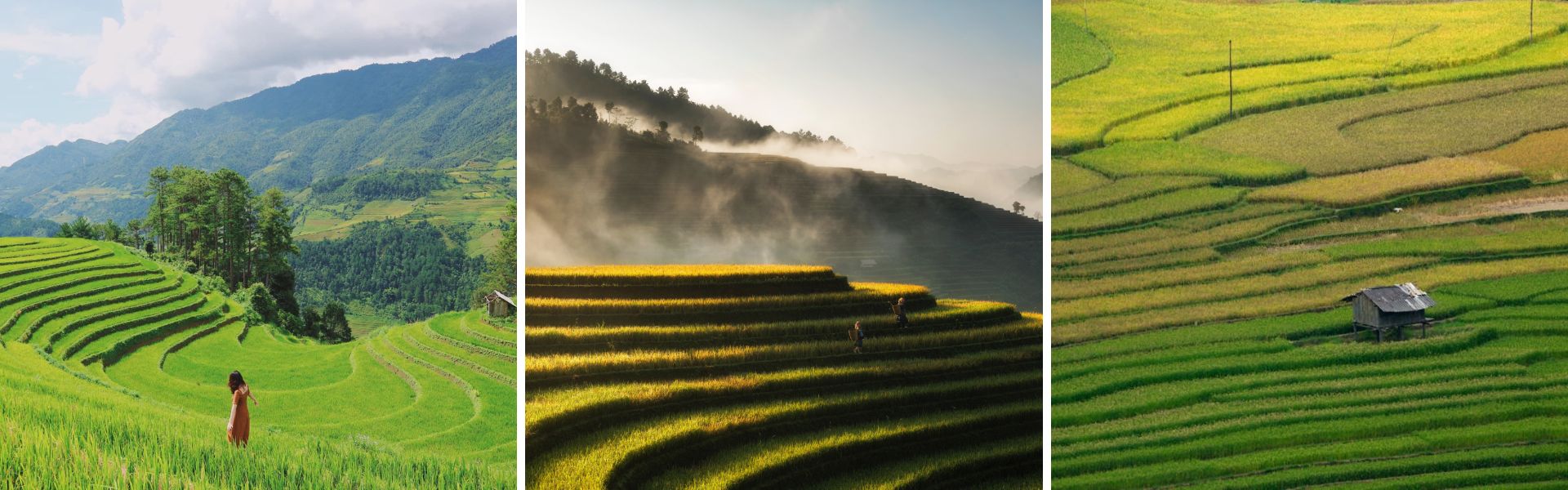 Mu Cang Chai