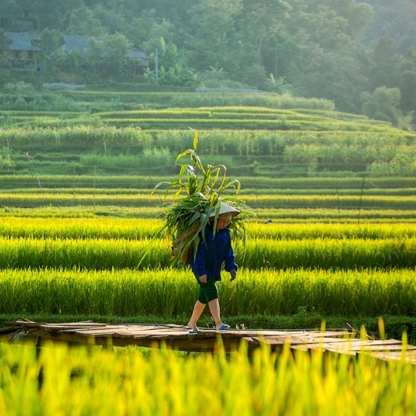 Pu Luong Nature Reserve