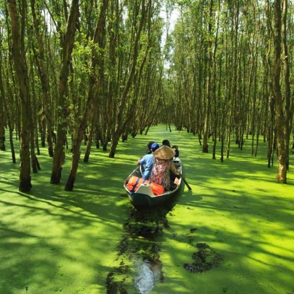 Tra Su forest - picturesque scenery