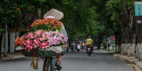 Asiatica on travel magazines