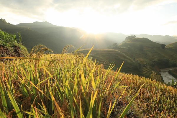 Extension for group tour - 2 days in Sapa