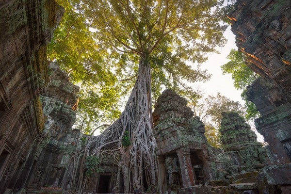 Vietnam & Cambodia Tour in 3 weeks