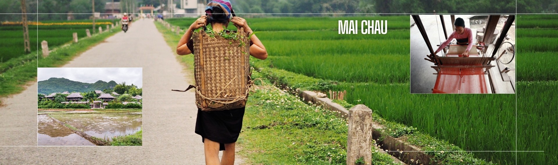 Through the Valleys: Pu Luong, Mai Chau & Ninh Binh