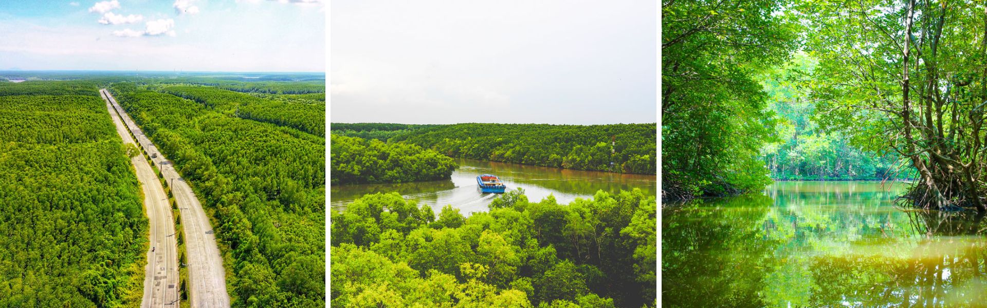 Can Gio Mangroves Forest