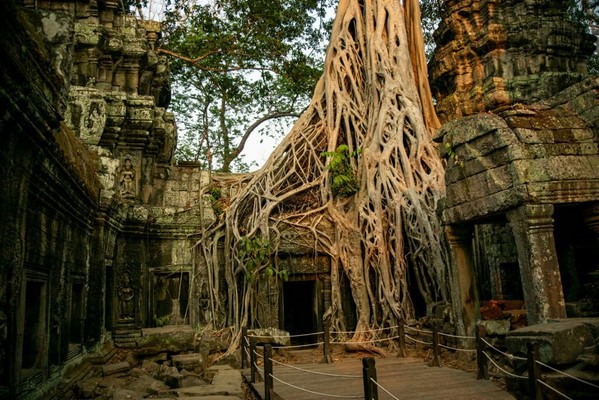 Day 03: Siem Reap - Ta Prohm - Banteay Srei - Tonle Sap