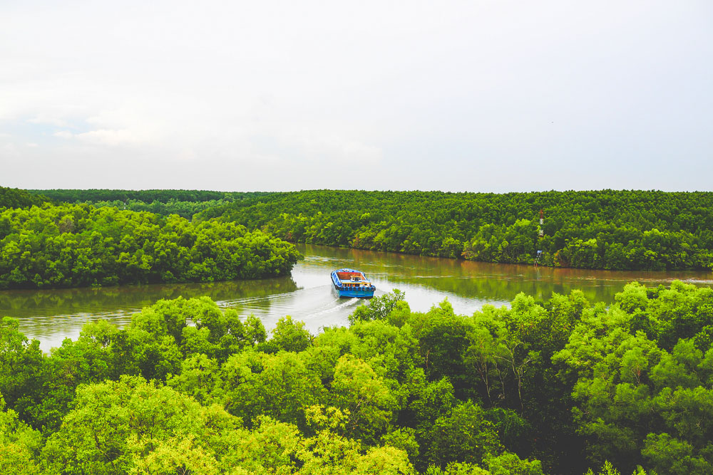 Can Gio Mangroves Forest