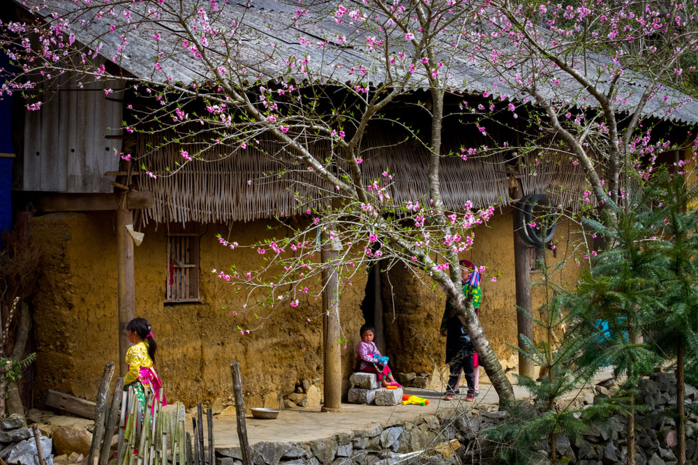 ha giang