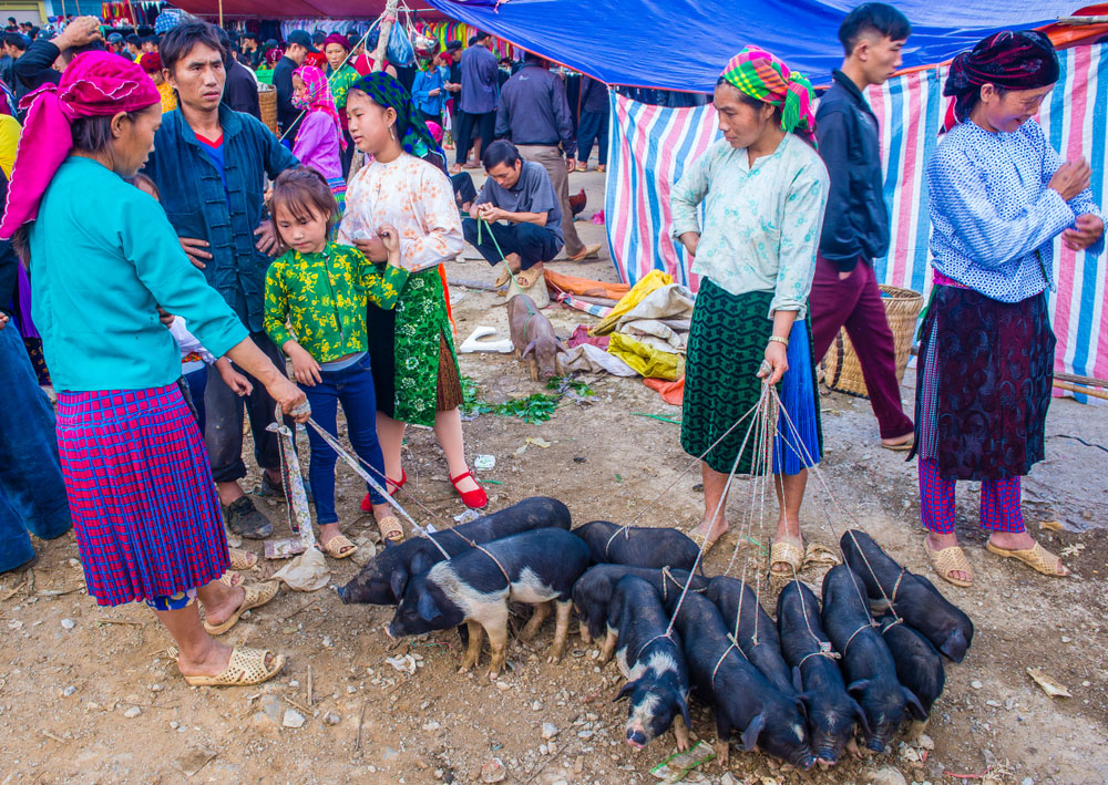 dong van ethnic market
