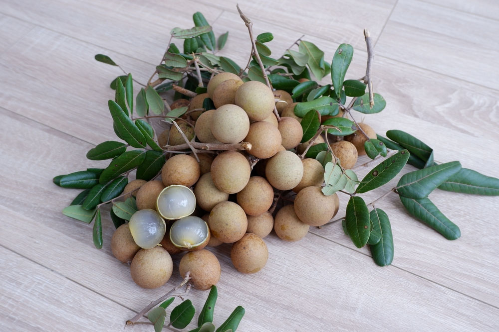 vietnam fruit longan
